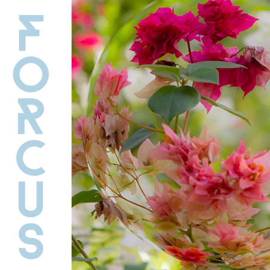 ארוגם Forcus Cabanas מראה חיצוני תמונה